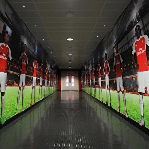 Arsenal Players Grand Entrance: Arsenal vs. West Bromwich Albion, Premier League 2015-16