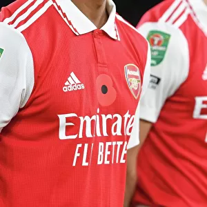 Arsenal Players Wear Poppies Ahead of Carabao Cup Clash vs. Brighton & Hove Albion