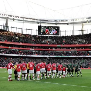 Arsenal v Plymouth Argyle - FA Cup 2008-09