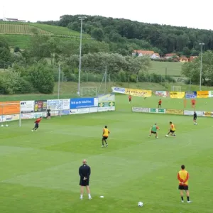 Arsenal Training Camp, Bad Waltersdorf, Austria, 24 / 7 / 2010. Credit : Stuart MacFarlane / Arsenal Football