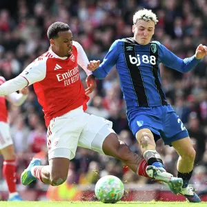 Arsenal v Bournemouth - Premier League Arsenal v Bournemouth - Premier League