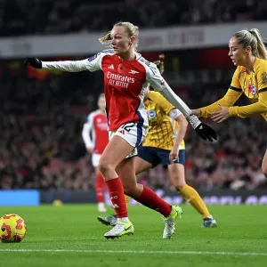 Arsenal v Brighton & Hove Albion - Barclays Women's Super League Arsenal v Brighton & Hove Albion - Barclays Women's Super League