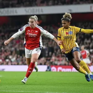 Arsenal v Brighton & Hove Albion - Barclays Women's Super League Arsenal v Brighton & Hove Albion - Barclays Women's Super League