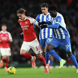 Arsenal v Brighton & Hove Albion - Carabao Cup Fourth Round<br> Arsenal v Brighton & Hove Albion - Carabao Cup Fourth Round