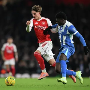 Arsenal v Brighton & Hove Albion - Carabao Cup Fourth Round<br> Arsenal v Brighton & Hove Albion - Carabao Cup Fourth Round