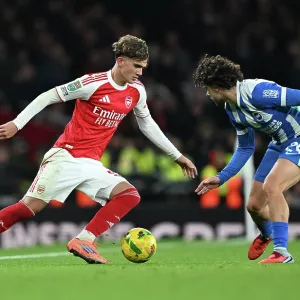 Arsenal v Brighton & Hove Albion - Carabao Cup Fourth Round<br> Arsenal v Brighton & Hove Albion - Carabao Cup Fourth Round
