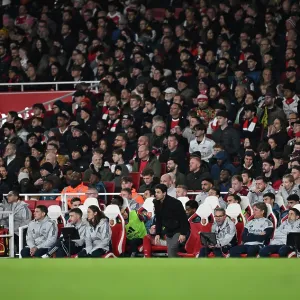 Arsenal v Brighton & Hove Albion - Carabao Cup Fourth Round<br> Arsenal v Brighton & Hove Albion - Carabao Cup Fourth Round