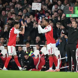 Arsenal v Brighton & Hove Albion - Carabao Cup Fourth Round<br> Arsenal v Brighton & Hove Albion - Carabao Cup Fourth Round