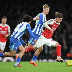 Arsenal v Brighton & Hove Albion - Carabao Cup Fourth Round<br> Arsenal v Brighton & Hove Albion - Carabao Cup Fourth Round