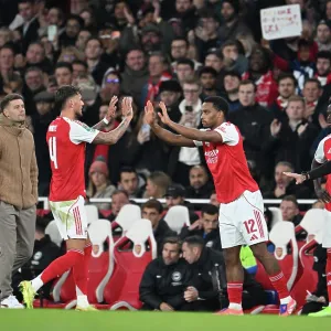 Arsenal v Brighton & Hove Albion - Carabao Cup Fourth Round<br> Arsenal v Brighton & Hove Albion - Carabao Cup Fourth Round