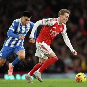 Arsenal v Brighton & Hove Albion - Premier League<br> Arsenal v Brighton & Hove Albion - Premier League