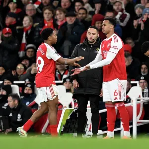 Arsenal v Brighton & Hove Albion - Premier League<br> Arsenal v Brighton & Hove Albion - Premier League