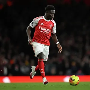 Arsenal v Brighton & Hove Albion - Premier League<br> Arsenal v Brighton & Hove Albion - Premier League