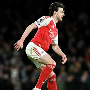Arsenal v Brighton & Hove Albion - Premier League<br> Arsenal v Brighton & Hove Albion - Premier League