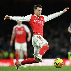 Arsenal v Brighton & Hove Albion - Premier League<br> Arsenal v Brighton & Hove Albion - Premier League