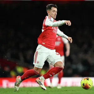 Arsenal v Brighton & Hove Albion - Premier League<br> Arsenal v Brighton & Hove Albion - Premier League