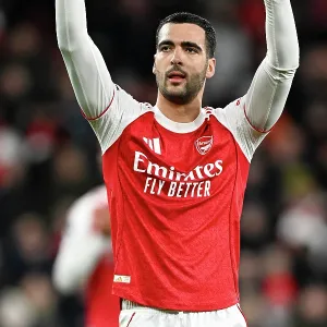 Arsenal v Brighton & Hove Albion - Premier League<br> Arsenal v Brighton & Hove Albion - Premier League