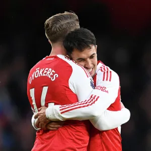 Arsenal v Crystal Palace - Premier League