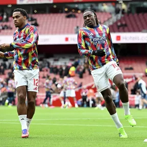 Arsenal v Crystal Palace - Premier League