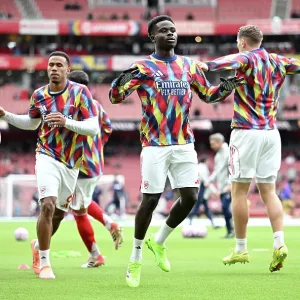 Arsenal v Crystal Palace Print Arsenal v Crystal Palace Print