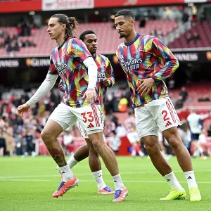Arsenal v Crystal Palace Print - Emirates Stadium Match Arsenal v Crystal Palace Print - Emirates Stadium Match