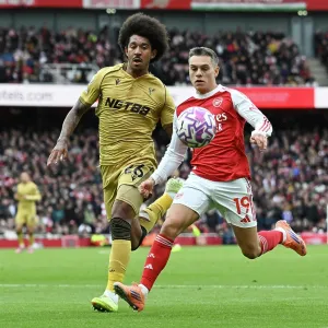 Arsenal v Crystal Palace Print - Emirates Stadium Match Arsenal v Crystal Palace Print - Emirates Stadium Match