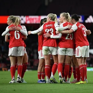 Arsenal v Everton - Barclays Women's Super League<br> Arsenal v Everton - Barclays Women's Super League