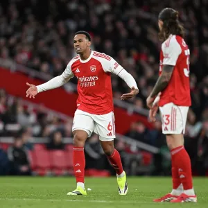 Arsenal v Everton - Premier League Arsenal v Everton - Premier League
