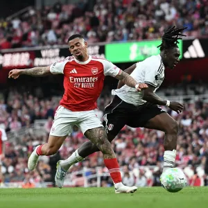 Arsenal v Fulham - Premier League
