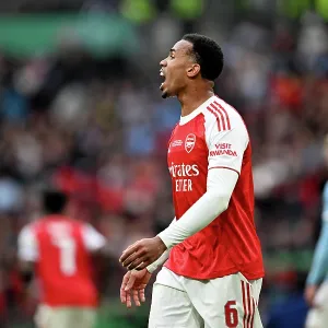 Arsenal v Manchester City - Carabao Cup Final Arsenal v Manchester City - Carabao Cup Final