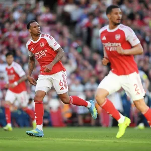 Arsenal v Newcastle United - Premier League Arsenal v Newcastle United - Premier League