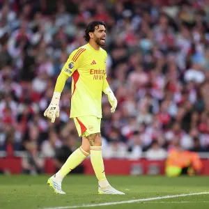 Arsenal v Newcastle United - Premier League Arsenal v Newcastle United - Premier League