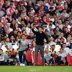 Arsenal v Newcastle United - Premier League Arsenal v Newcastle United - Premier League
