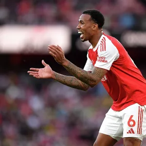 Arsenal v Newcastle United - Premier League Arsenal v Newcastle United - Premier League