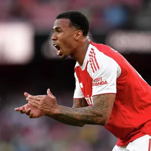 Arsenal v Newcastle United - Premier League Arsenal v Newcastle United - Premier League