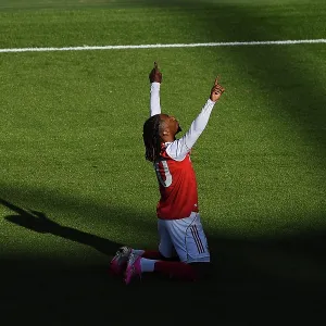 Arsenal v Newcastle United - Premier League Arsenal v Newcastle United - Premier League