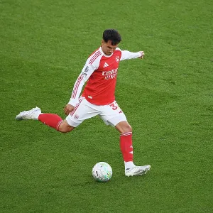 Arsenal v Newcastle United - Premier League Arsenal v Newcastle United - Premier League