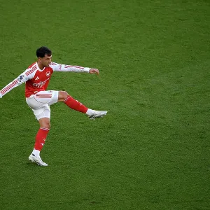 Arsenal v Newcastle United - Premier League Arsenal v Newcastle United - Premier League