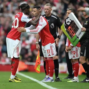 Arsenal v Nottingham Forest - Premier League Arsenal v Nottingham Forest - Premier League