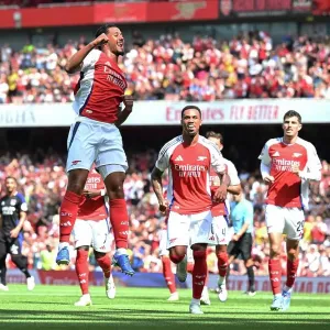 Arsenal v Olympique Lyonnais - Pre-Season Friendly Arsenal v Olympique Lyonnais - Pre-Season Friendly