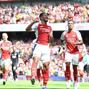 Arsenal v Olympique Lyonnais - Pre-Season Friendly Arsenal v Olympique Lyonnais - Pre-Season Friendly