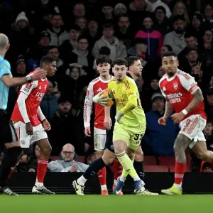 Arsenal v Wigan Athletic - Emirates FA Cup Fourth Round Arsenal v Wigan Athletic - Emirates FA Cup Fourth Round