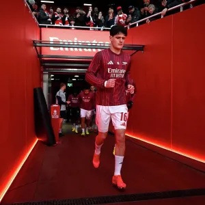 Arsenal v Wigan Athletic - Emirates FA Cup Fourth Round Arsenal v Wigan Athletic - Emirates FA Cup Fourth Round