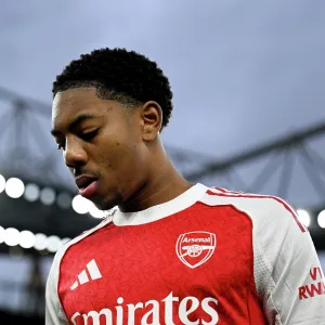 Arsenal v Wigan Athletic - Emirates FA Cup Fourth Round Arsenal v Wigan Athletic - Emirates FA Cup Fourth Round