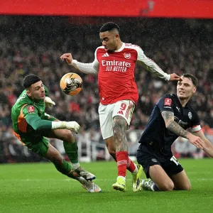 Arsenal v Wigan Athletic - Emirates FA Cup Fourth Round Arsenal v Wigan Athletic - Emirates FA Cup Fourth Round
