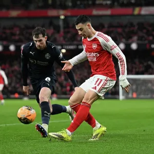 Arsenal v Wigan Athletic - Emirates FA Cup Fourth Round Arsenal v Wigan Athletic - Emirates FA Cup Fourth Round