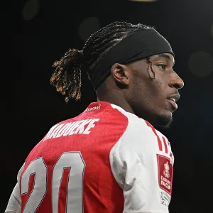 Arsenal v Wigan Athletic - Emirates FA Cup Fourth Round Arsenal v Wigan Athletic - Emirates FA Cup Fourth Round