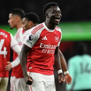 Arsenal v Wolverhampton Wanderers - Premier League