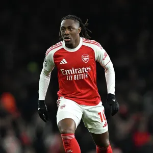 Arsenal v Wolverhampton Wanderers - Premier League