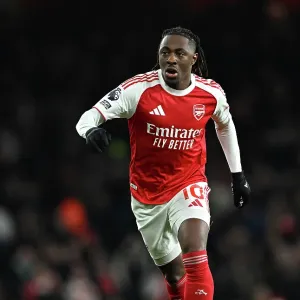 Arsenal v Wolverhampton Wanderers - Premier League